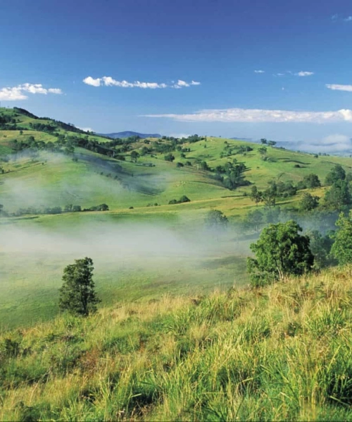 Boyce Location - Bega